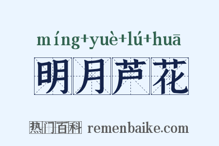 明月芦花是什么意思的图片